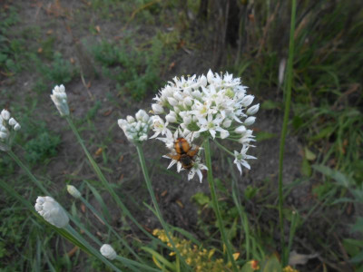DSCN6706.JPG