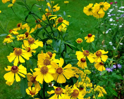 20230827_130408.jpg