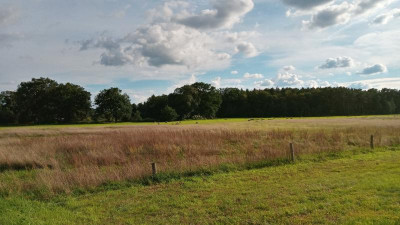 20230828_174804_HDR.jpg
