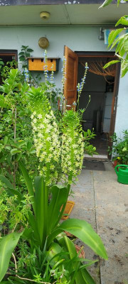20230827_115041.jpg