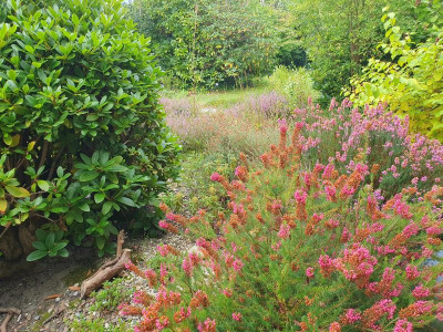 garten.jpg