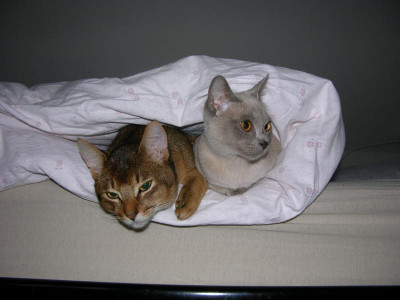 DSCN7172.JPG