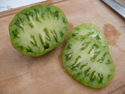 Kiwi.jpg