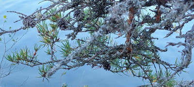 20230827_093621.jpg