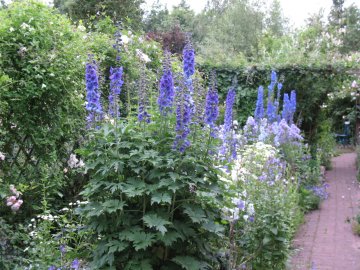 Gartenbilder_gesamt_aooe_040.JPG
