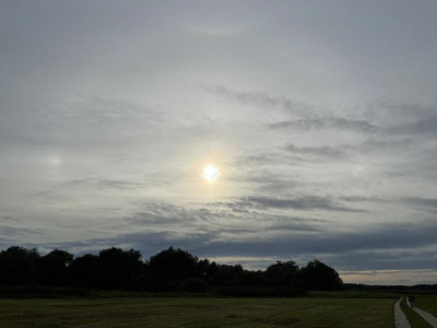 IMG_7939.jpeg