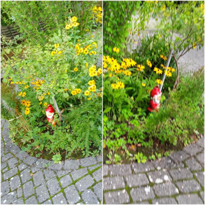 Zwerge.jpg