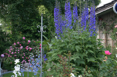 Juni0508.jpg