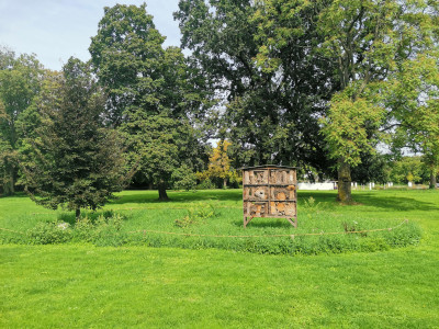Ebertpark2.jpeg