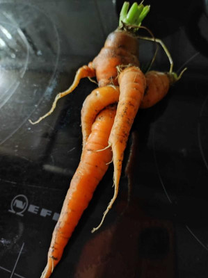 IMG-20230904-WA0000.jpeg