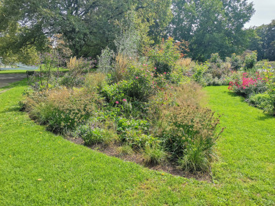 Ebertpark21.jpeg