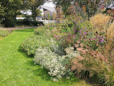 Ebertpark23.jpeg