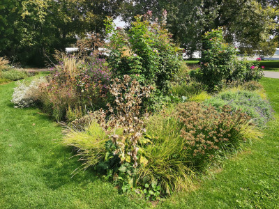 Ebertpark26.jpeg