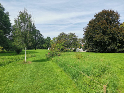 Ebertpark27.jpeg