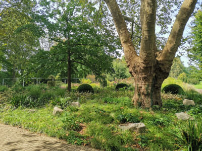 Ebertpark29.jpeg
