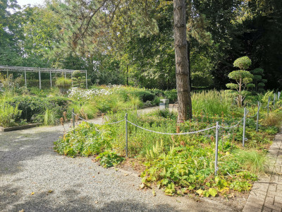 Ebertpark33.jpeg