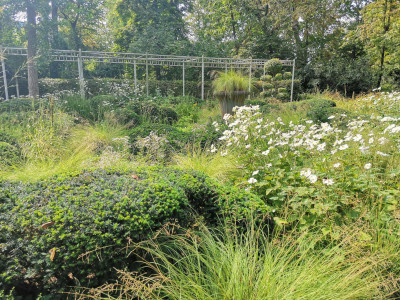 Ebertpark34.jpeg