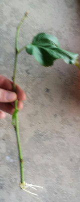 20230905_222831.png