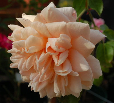 Break_oDay_0010__DSC_9105.jpg