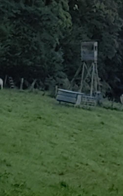 20230908_102030.jpg