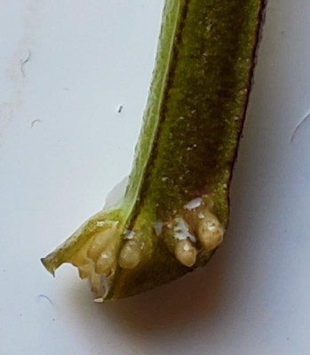 20230908_111558.jpg
