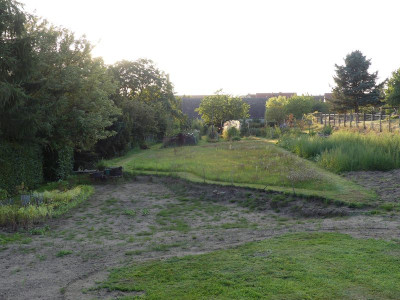 2023-09-09 Garteneinblick 3.jpg