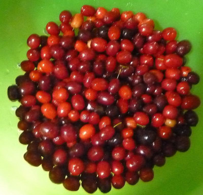 P1110852.JPG