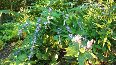 IMG_20230909_072238.jpg