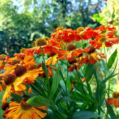 20230910_125517.jpg