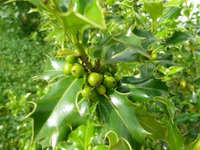 26.06.2008.60.JPG