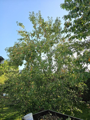 20230911_085716.jpg
