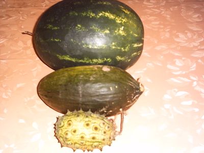 verschiedene_Melonen.jpg