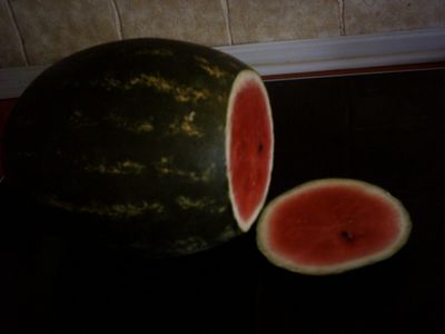 Wassermelone_04.jpg