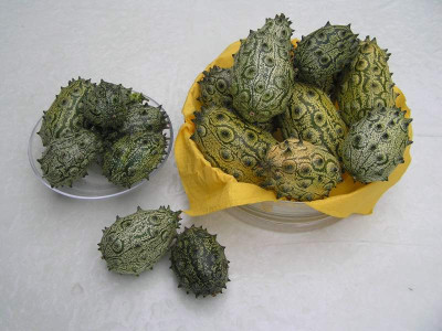 kiwano0906.jpg
