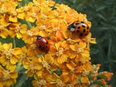 DSCF2353.JPG