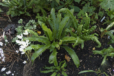 DSC01480_DxO.jpg
