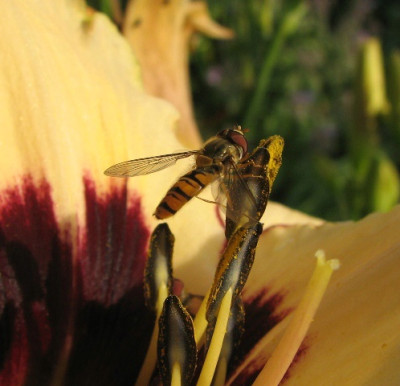 besuch1.JPG