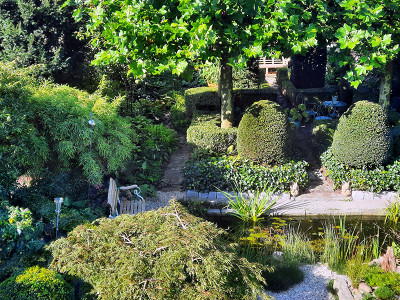 Garten Mitte September.jpg