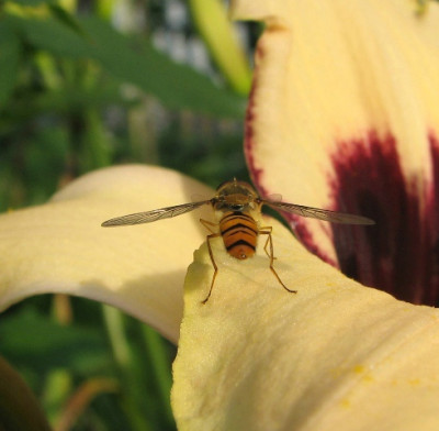 besuch2.JPG