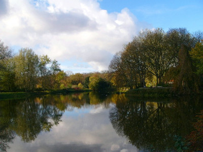 Park-Nov-1a.jpg