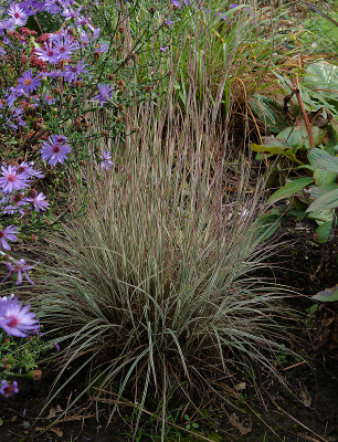 DSC01495_DxO.jpg
