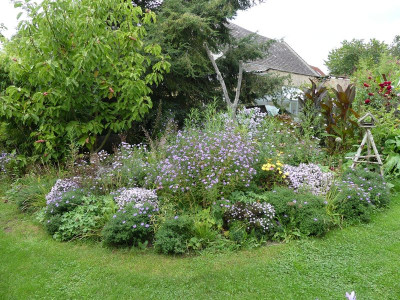 2023-09-18 Garteneinblick 8.jpg
