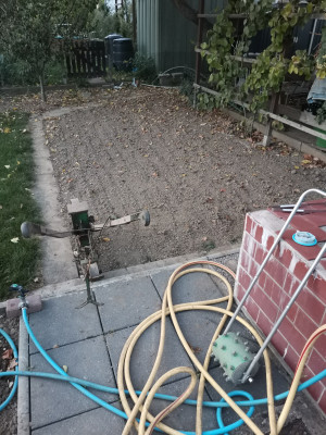 Feldsalat Saat 20230919.jpeg