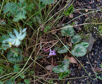 DSC01543_DxO.jpg