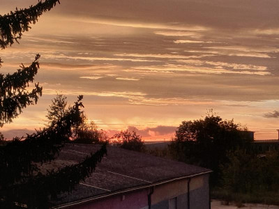 20230922_065502.jpg