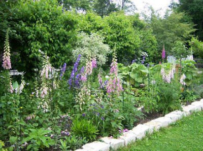 100_0245_640x480.jpg