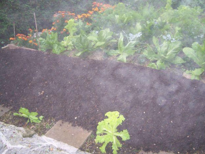 100_0134_640x480.jpg