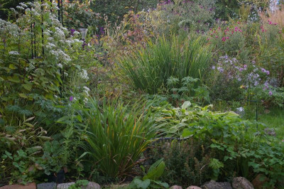 Mittlerer Garten 9-2023.006.jpg