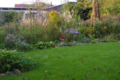 Mittlerer Garten 9-2023.003.JPG