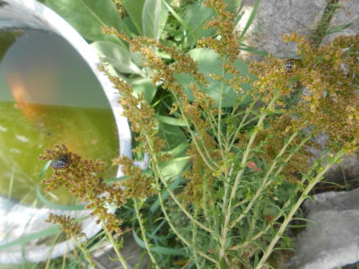 DSCN6859.JPG
